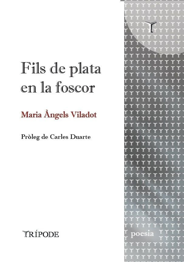 FILS DE PLATA EN LA FOSCOR, de VILADOT, MARIA ANGELS | portada del libro
