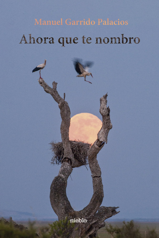 Ahora que te nombro, de Garrido Palacios, Manuel | portada del libro