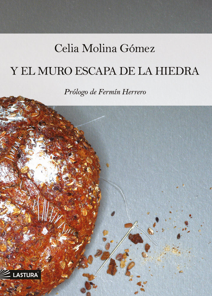 Y EL MURO ESCAPA DE LA HIEDRA, de MOLINA GÓMEZ, CELIA | portada del libro