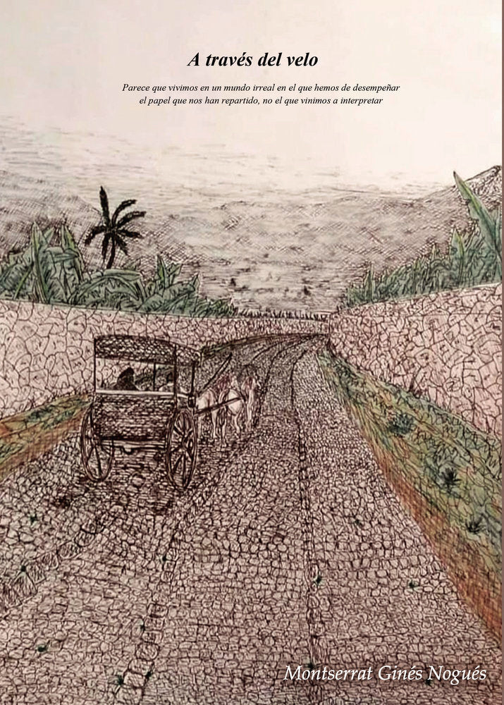 A través del velo, de Ginés Nogués, Montserrat | portada del libro