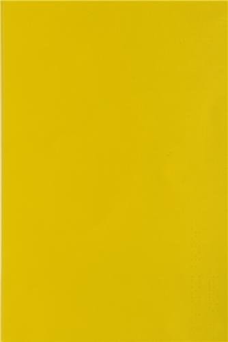 ES YEUX BRULES DE SONGES-VINCENT CHEVIL, de Anne Bertrand | portada del libro