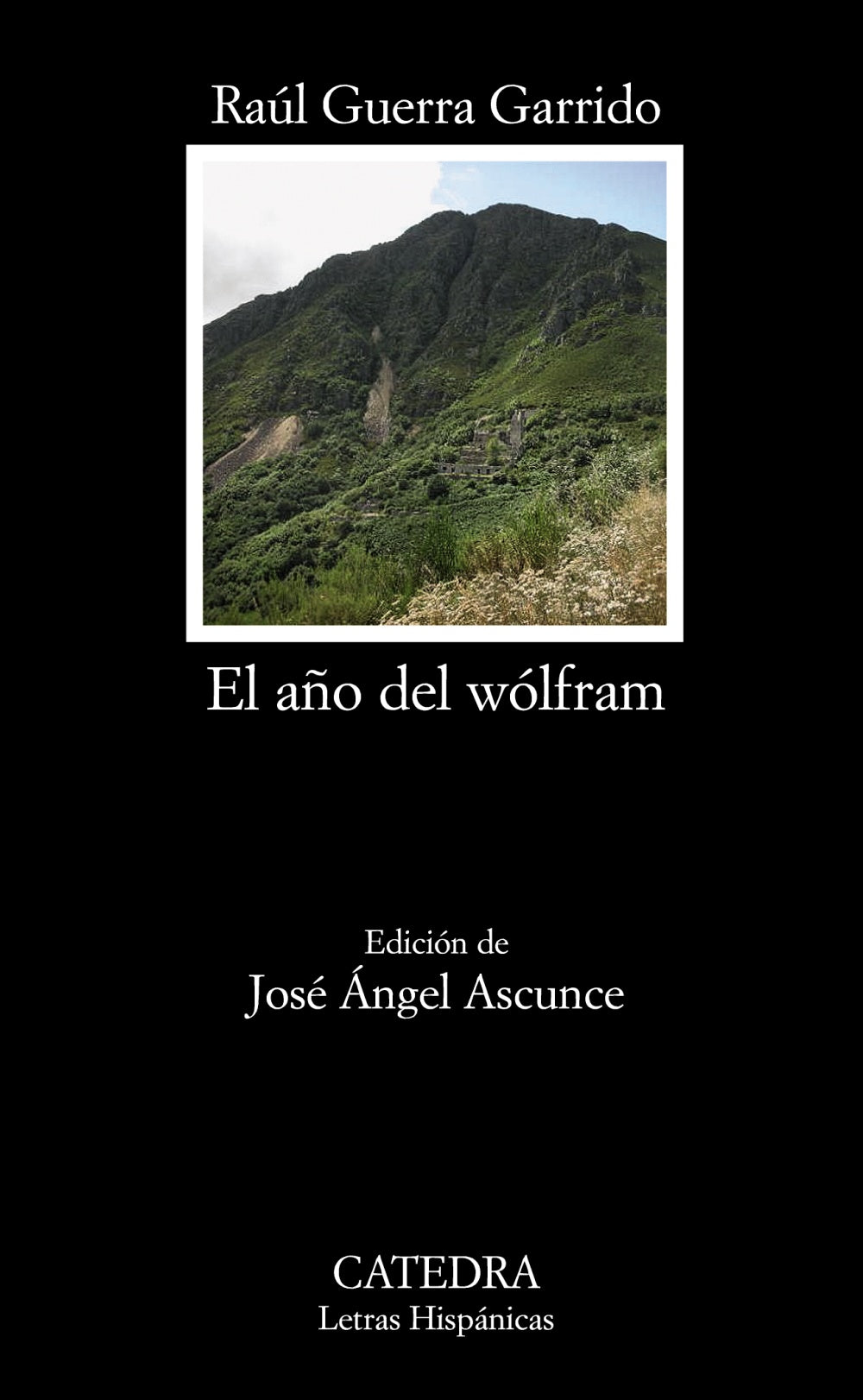 El año del wólfram, de Guerra Garrido, Raúl | portada del libro