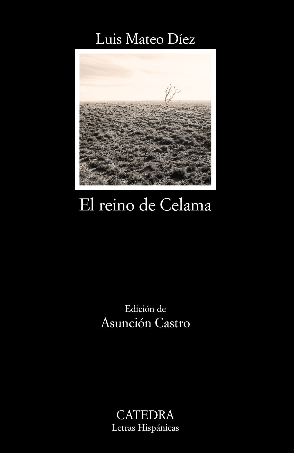 El reino de Celama, de Díez, Luis Mateo | portada del libro