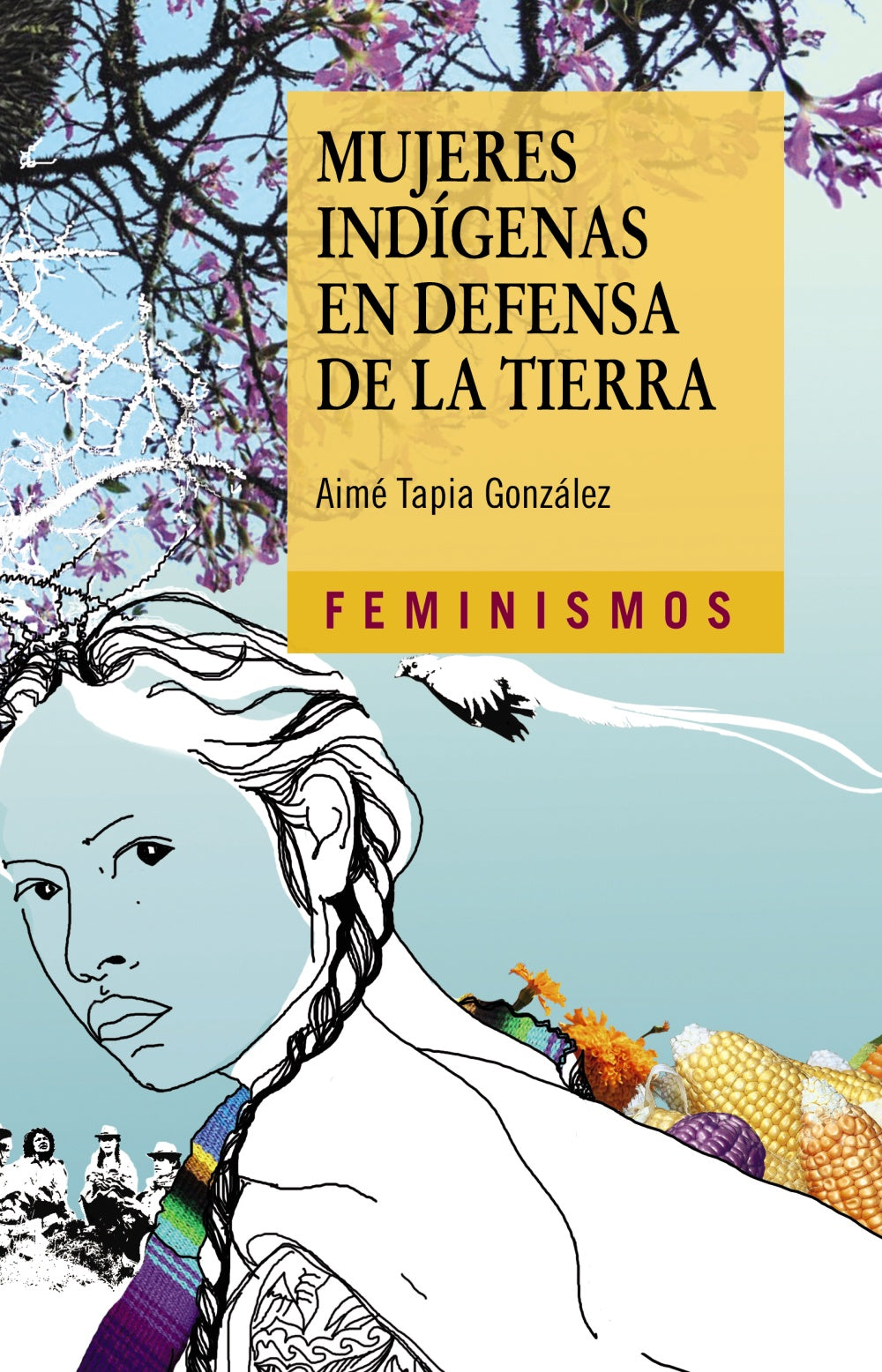 Mujeres indígenas en defensa de la tierra, de Tapia González, Aimé | portada del libro