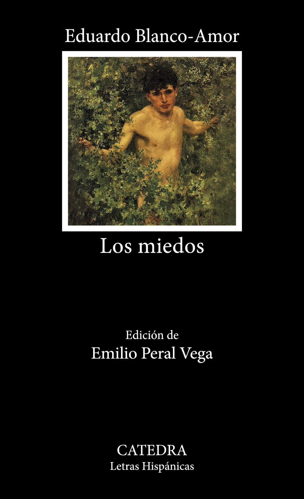 Los miedos, de Blanco-Amor, Eduardo | portada del libro