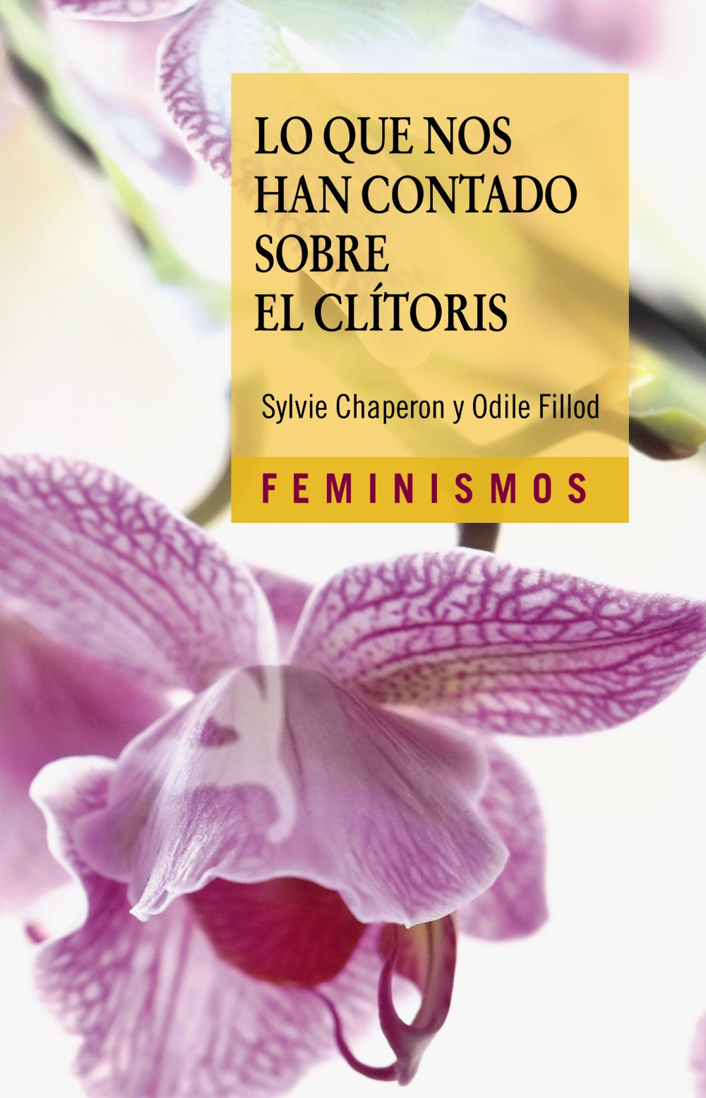 Lo que nos han contado sobre el clítoris, de Chaperon, Sylvie | portada del libro