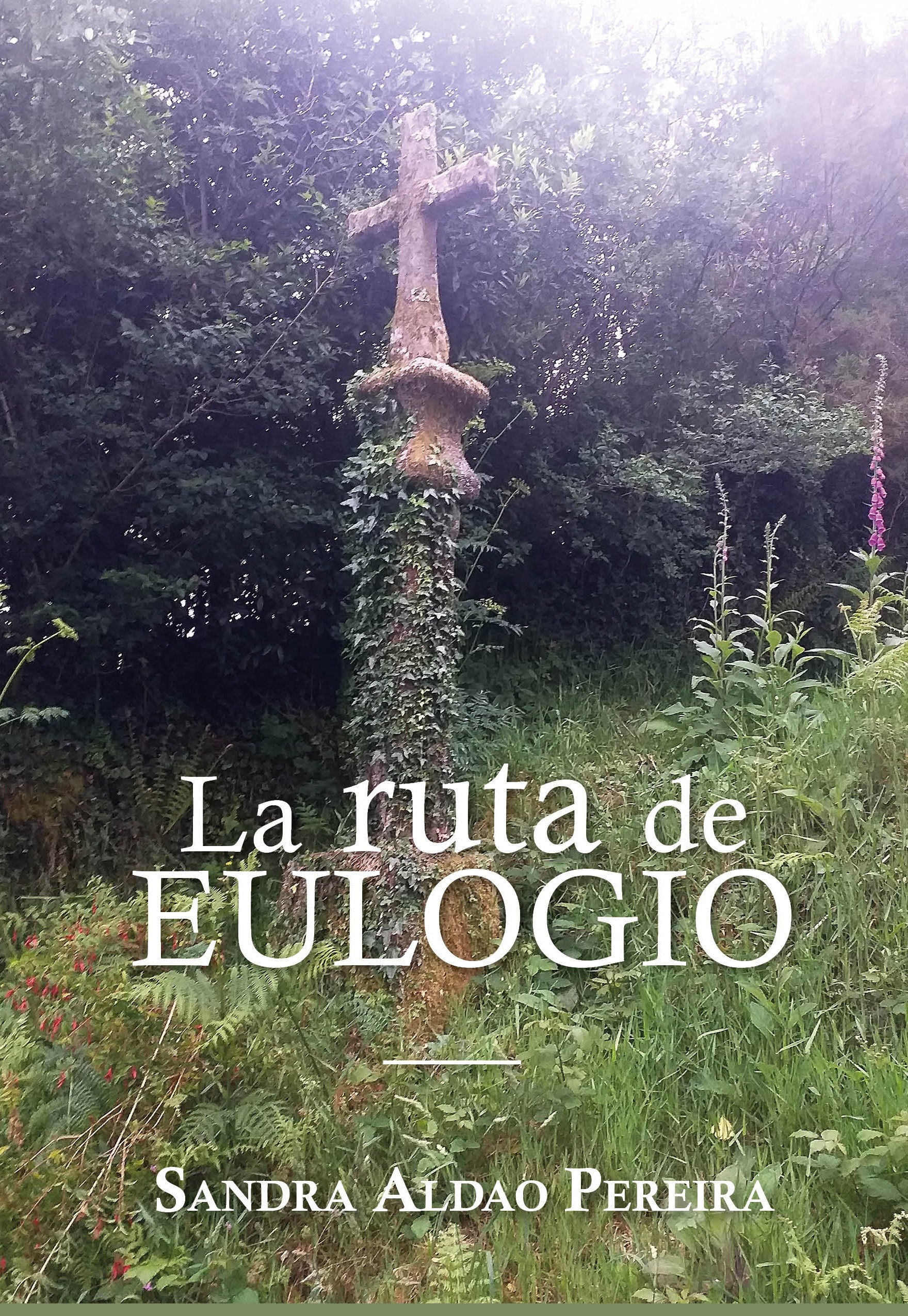 LA RUTA DE EULOGIO, de ALDAO PEREIRA | portada del libro