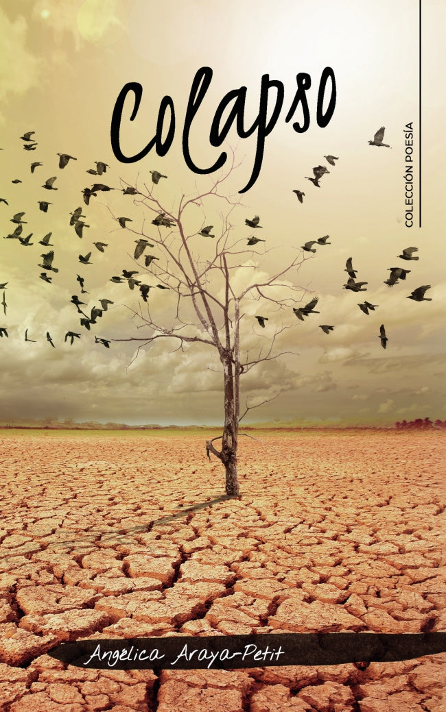 (I.B.D.) COLAPSO, de Araya-petit | portada del libro