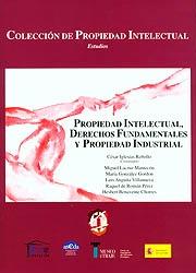 Propiedad intelectual, derechos fundamentales y propiedad industrial, de Anguita Villanueva | portada del libro