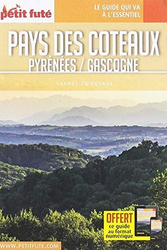 AYS DES COTEAUX 2019 CARNET PETIT FUTE, de Varios autores | portada del libro