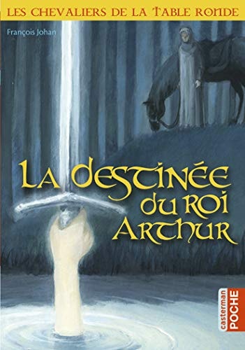 LES CHEVALIERS DE LA TABLE RONDE LA DESTINEE DU ROI ARTHUR, de François Johan | portada del libro