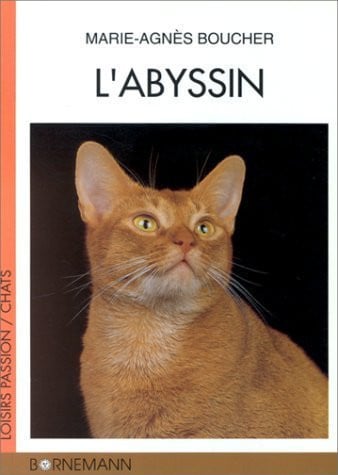 L ABYSSIN, de BOUCHER | portada del libro