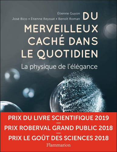 U MERVEILLEUX CACHE DANS LE Q, de GUYON#COLLECTIFS FLAMMARION ETIENNE | portada del libro