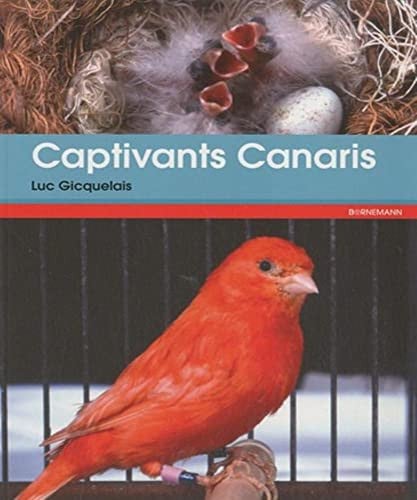 CAPTIVANTS CANARIS, de GICQUELAIS LUC | portada del libro