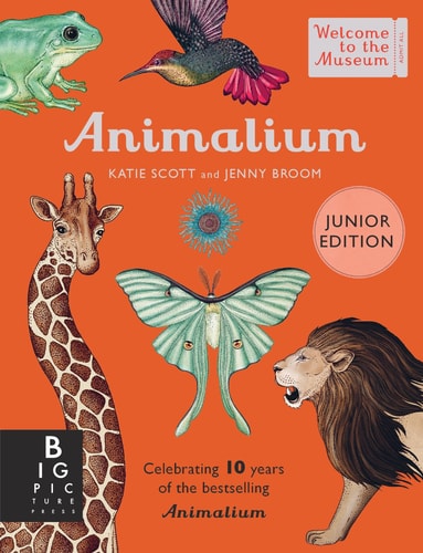 ANIMALIUM MINI LIVRE CADEAU, de Jenny Broom | portada del libro