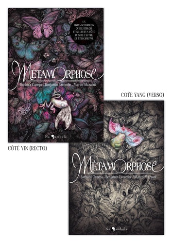LA METAMORPHOSE, de Barbara Canepa | portada del libro