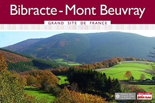 IBRACTE-MONT BEUVRAY 2015, de Collectif | portada del libro