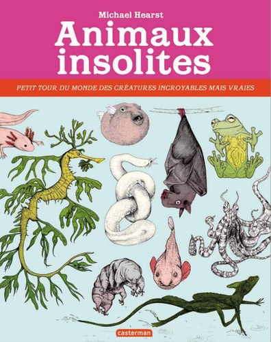 ANIMAUX INSOLITES, de Michael Hearst | portada del libro