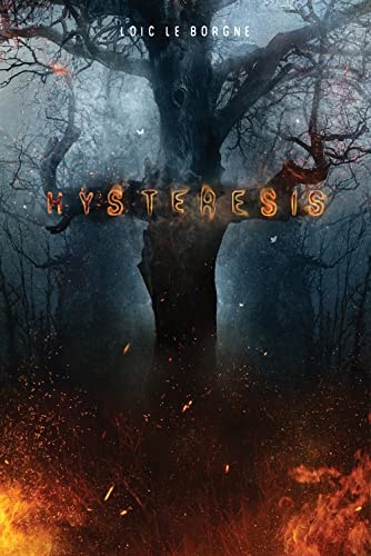 HYSTERESIS, de Loïc Le Borgne | portada del libro
