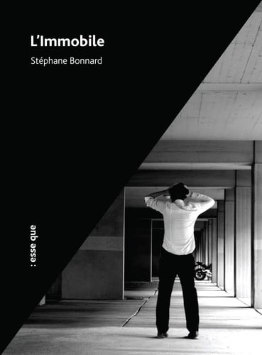 L'IMMOBILE, de BONNARD STEPHAN | portada del libro