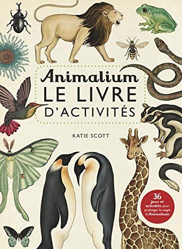 ANIMALIUM 36 JEUX ET ACTIVITES POUR PROLONGER LA MAGIE D' AN, de Scott | portada del libro