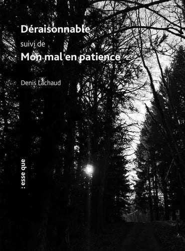 DERAISONNABLE SUIVI DE MON MAL EN PATIENCE, de LACHAUD DENIS | portada del libro