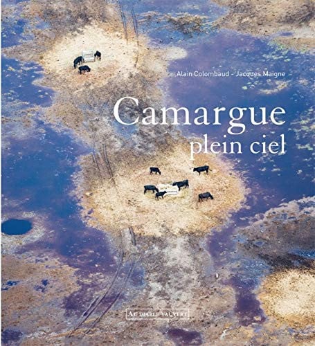 CAMARGUE PLEIN CIEL, de COLOMBAUD ALAIN | portada del libro