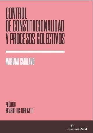 CONTROL DE CONSTITUCIONALIDAD Y PROCESOS COLECTIVOS, de CATALANO | portada del libro