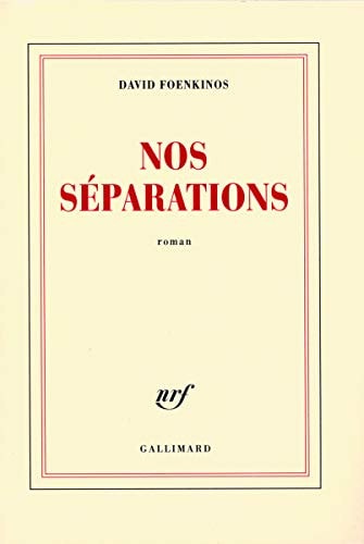 NOS SEPARATIONS, de Foenkinos | portada del libro