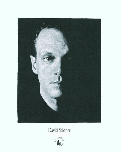 DAVID SEIDNER, de Patrick Mauriès | portada del libro