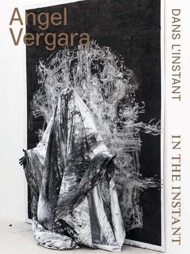 NGEL VERGARA. IN THE INSTANT /DAN (ECB), de Olivier Michelon | portada del libro