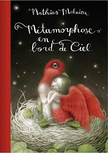 ETAMORPHOSE EN BORD DE CIEL-ED. DELUXE, de MALZIEU MATHIAS | portada del libro