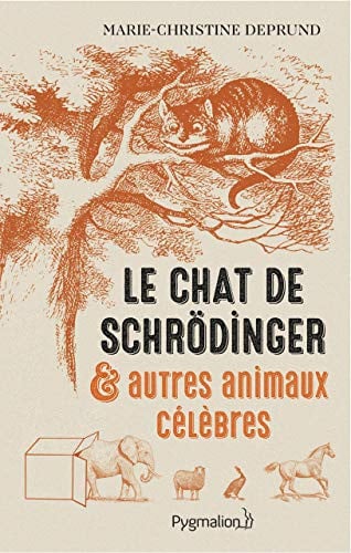 HAT DE SCHRODINGER ET AUTRES, de DEPRUND MARIE-CHRISTINE | portada del libro