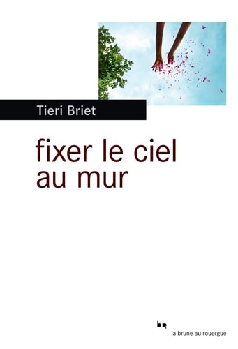 FIXER LE CIEL AU MUR, de Tieri Briet | portada del libro