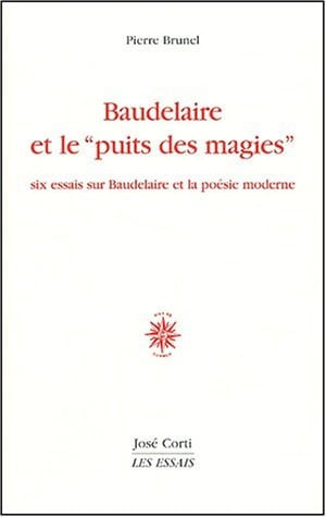 BAUDELAIRE ET LE PUITS DES MAGIES, de BRUNEL PIERRE | portada del libro