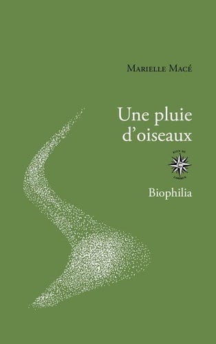 UNE PLUIE D OISEAUX, de MACE MARIELLE | portada del libro