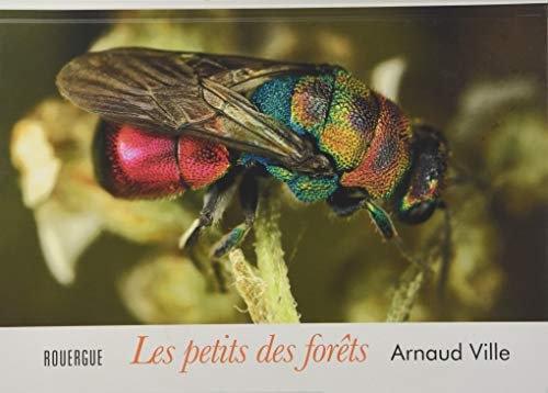 LES PETITS DES FOROTS, de Arnaud Ville | portada del libro