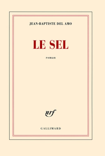 LE SEL, de Jean-Baptiste Del Amo | portada del libro