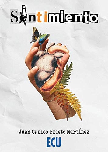 SINTIMIENTO, de JUAN CARLOS | portada del libro
