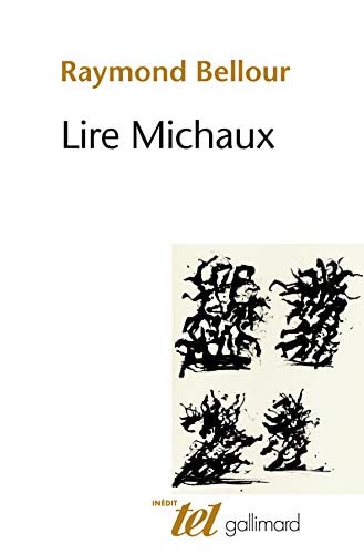 LIRE MICHAUX, de Raymond Bellour | portada del libro