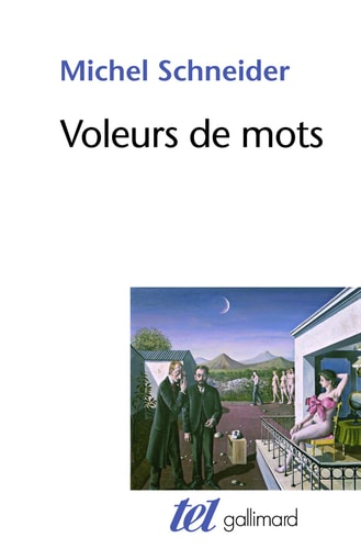 VOLEURS DE MOTS, de Michel Schneider | portada del libro