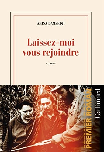 LAISSEZ-MOI VOUS REJOINDRE, de Amina Damerdji | portada del libro
