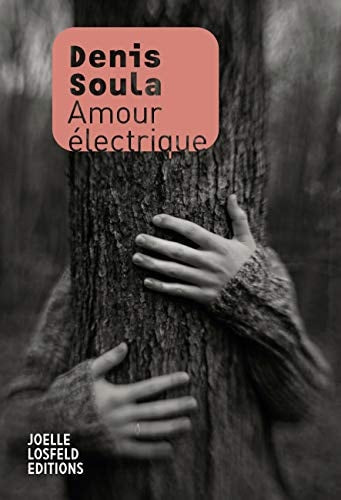 AMOUR ELECTRIQUE, de Denis Soula | portada del libro