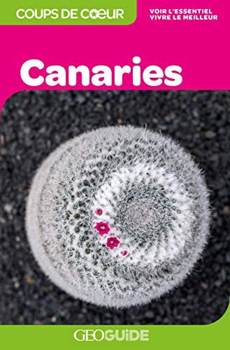 CANARIES, de SANDRINE FAVRE | portada del libro