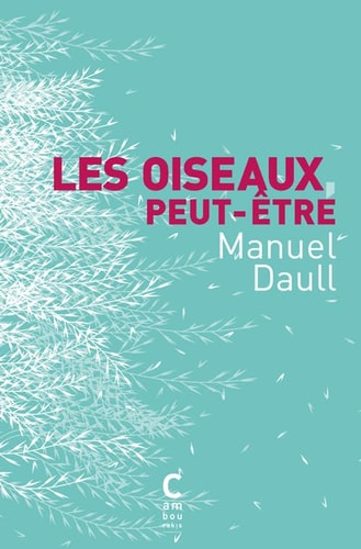 LES OISEAUX PEUT OTRE, de Manuel Daull | portada del libro
