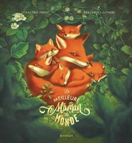 La meilleure maman du monde, de Sébastien Perez | portada del libro
