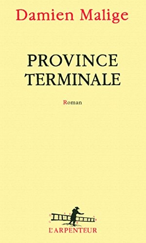 PROVINCE TERMINALE, de Damien Malige | portada del libro