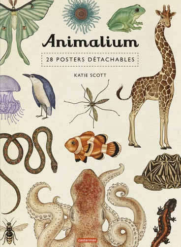 ANIMALIUM 28 POSTERS DETACHABLES, de Katie Scott | portada del libro