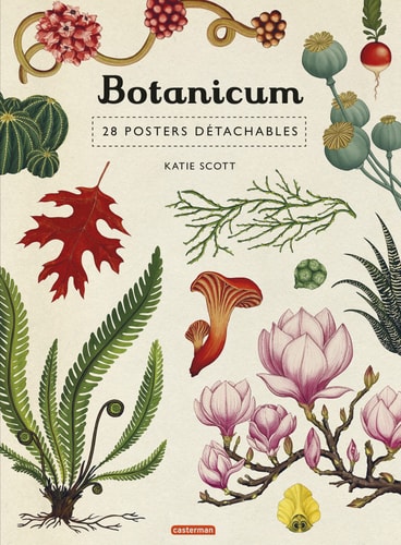 BOTANICUM 28 POSTERS DETACHABLES, de Katie Scott | portada del libro