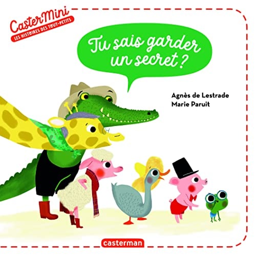 CASTERMINI -TU SAIS GARDER UN SECRET ?, de Agnès de Lestrade | portada del libro
